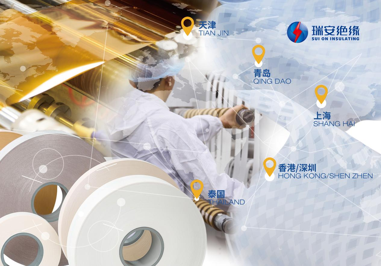 瑞安绝缘.png